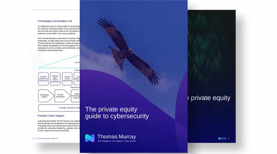 The Private equity guide