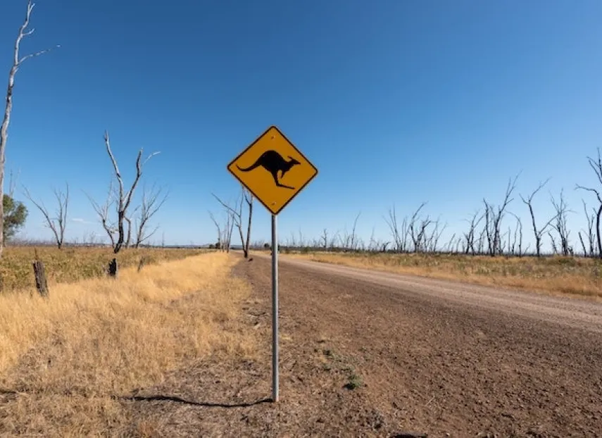 Road sign warning drivers about kangaroos in the Australian Outback