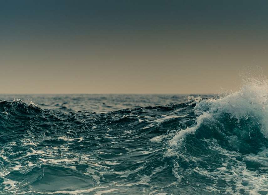 A stormy sea: Third party risk management in the wild