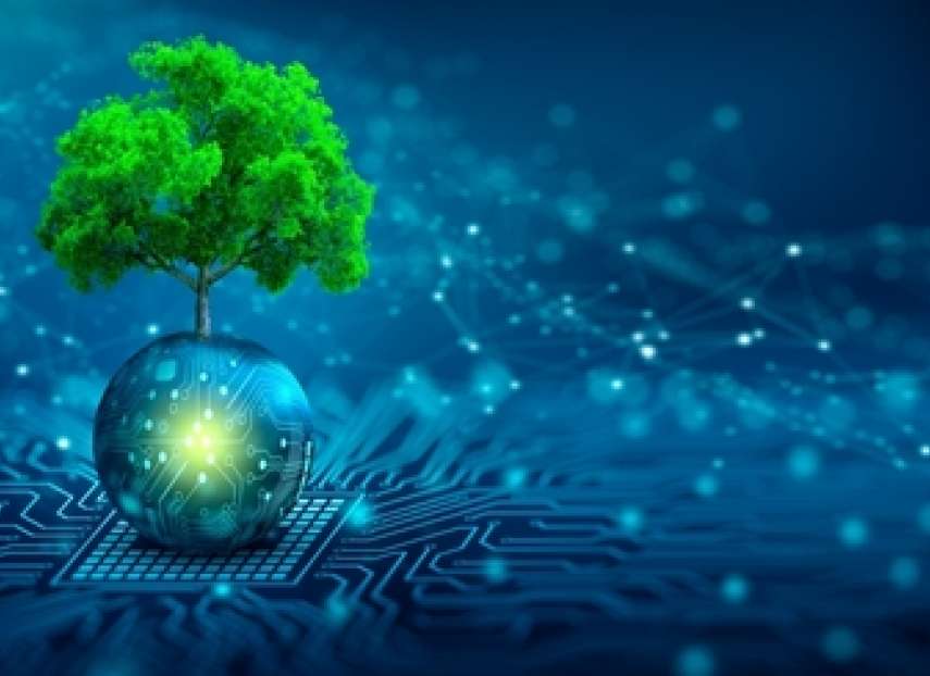 A tree in a digital landscape: Five minutes with the PE cyber experts 