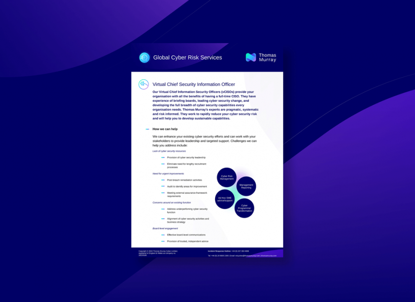 Virtual Chief Information Security Officer (vCISO)