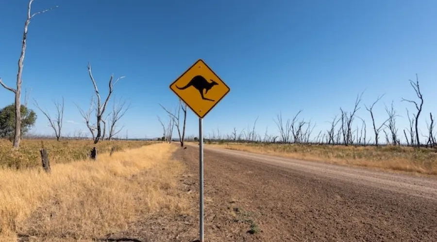 Road sign warning drivers about kangaroos in the Australian Outback