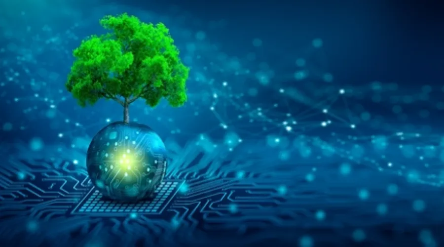 A tree in a digital landscape: Five minutes with the PE cyber experts 