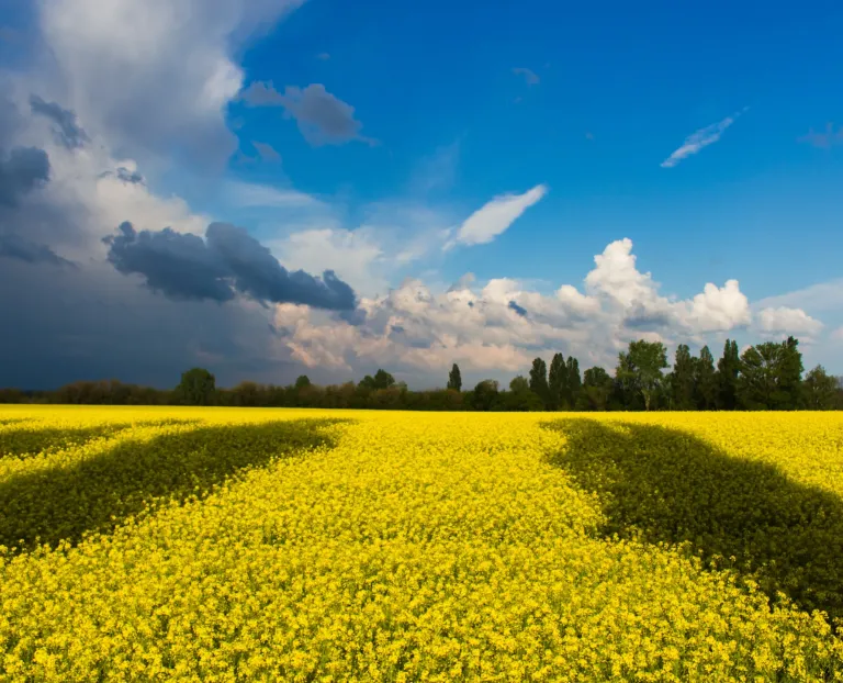 Impact of Russian Invasion of Ukraine on Capital Markets of Ukraine and Russia
