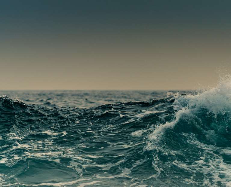 A stormy sea: Third party risk management in the wild