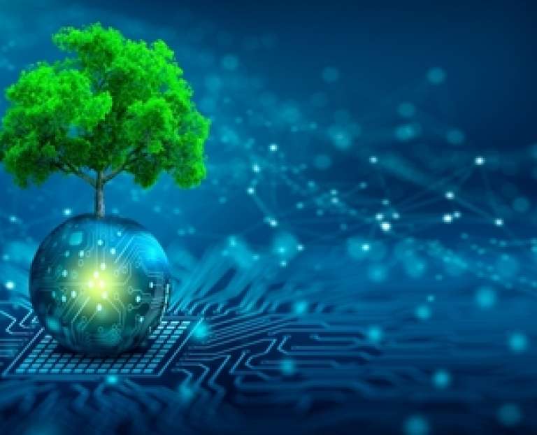 A tree in a digital landscape: Five minutes with the PE cyber experts
