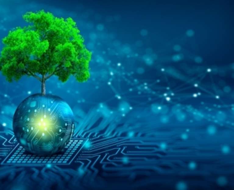 A tree in a digital landscape: Five minutes with the PE cyber experts 